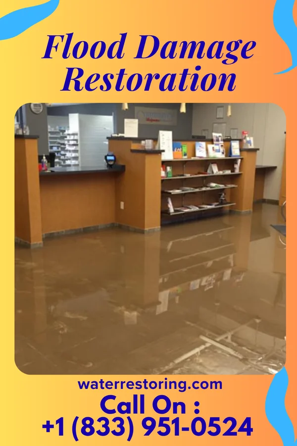 Flood Damage Restoration in Watertown, MN