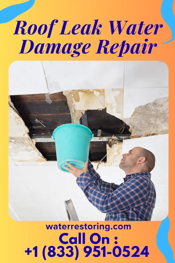 Roof Leak Water Damage Repair in Watertown, MN