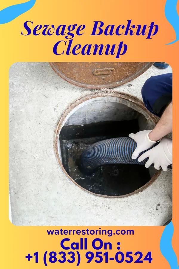Sewage Backup Cleanup in Watertown, MN
