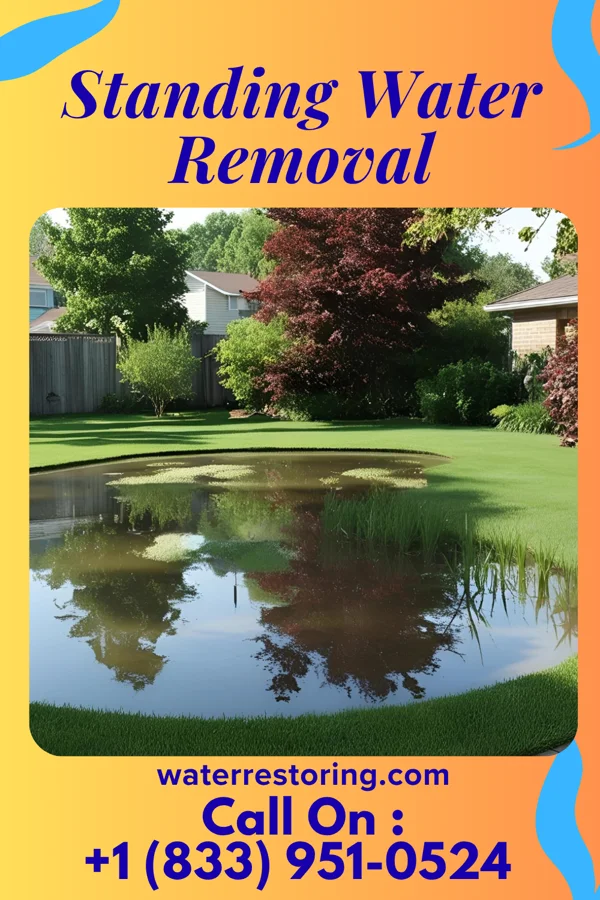 Standing Water Removal in Watertown, MN